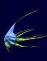 Endorbuzzfish.jpg