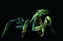 Frightener2