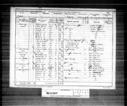 1891 Census