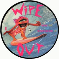 WipeOut PictureDisc