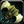 Inv axe 84
