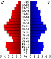 USA Koochiching County, Minnesota age pyramid