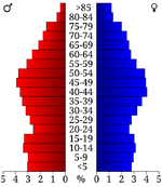 USA Roane County, Tennessee.csv age pyramid