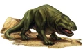 Dewback NEGAS.jpg