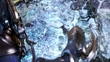 ShivaXIII2