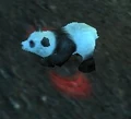 Pandashout.jpg