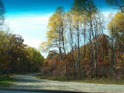 MarinetteCountyWisconsinWoods
