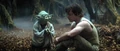Yoda y Luke.jpg