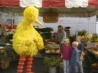 WYWH.Farm1.jpg