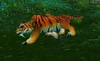 Zulian Cub