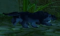 ZulianPanther.jpg