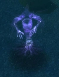 VengefulApparition