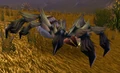 PlainsCreeper.jpg