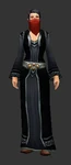 Defias Magician