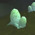 Webwood Egg.jpg