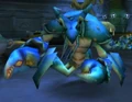 Murkshallow Softshell.jpg