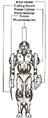 DarkTrooper1 egtd.png