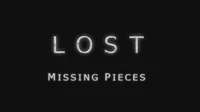 Missing Pieces2.jpg