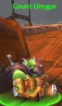 Grunt Umgor