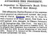 Sjostrom-Olaf 1894 BrooklynEagle