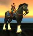 Black Stallion.jpg