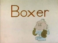 Boxer.jpg