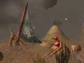 Dawn Runner.jpg