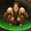 Apprentice Garion