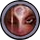 Shell Shock