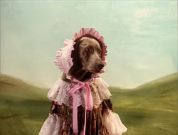 BattyBoPeep