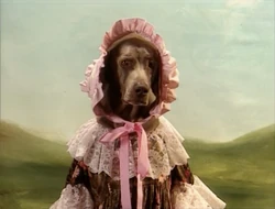 BattyBoPeep2