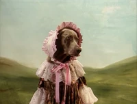 BattyBoPeep3.jpg