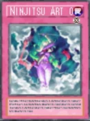 NinjitsuArtofTransformation-WC6-EN-VG