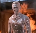 T-1000 flames.jpg