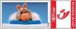 BelgianPiggy