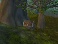 Rackmore's Chest.jpg