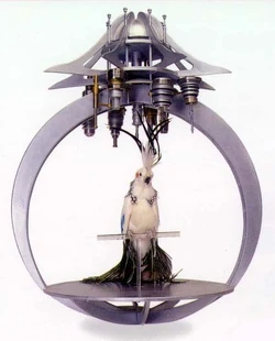Pylatvogel.jpeg