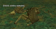 Jinisk sentry remains.jpg