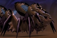 Image of Vekniss Warrior
