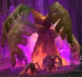 Strange Fronded Plant.jpg