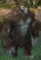 Race brute.jpg