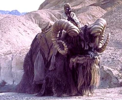 Bantha