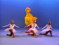 4birds.jpg