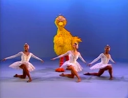 4birds