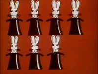 7rabbits