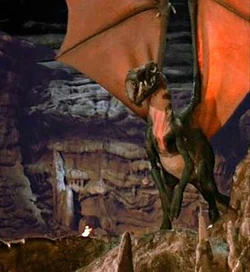 Condor Dragon.jpg