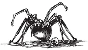 SpiderW1