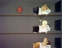 3957y