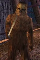 Chorrawl.jpg