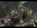 Arbiterwithrifel